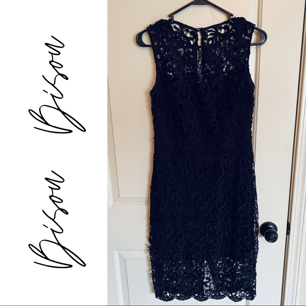 Bisou Bisou Lace Dress